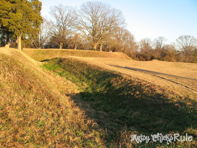 The Battlefields, Yorktown, VA - artsychicksrule.com