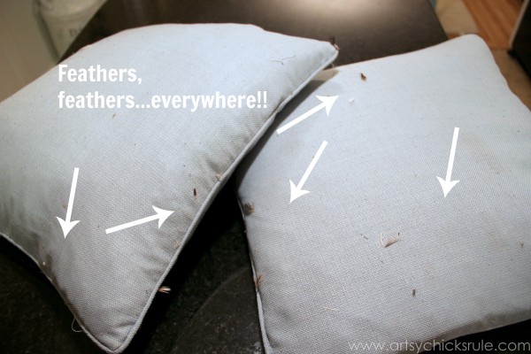 Feather Pillow Fail-  a No-Sew Fix - Feathers everywhere - artsychicksrule.com  #nosew