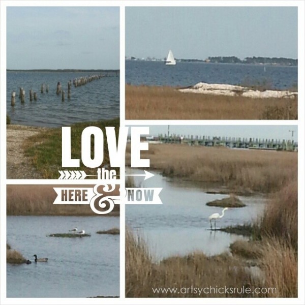 My Favorite Things - I Love Where I Live - artsychicksrule.com #coast #coastal #water #ocean