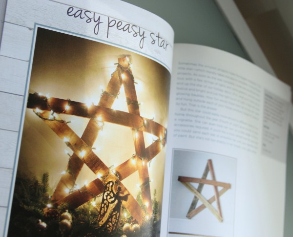 DIY Wood Pallet Book Review - Star