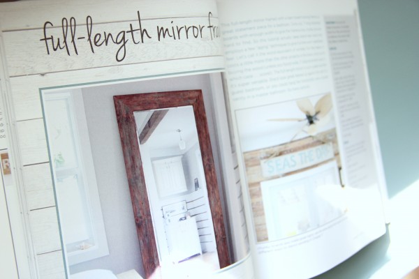 DIY Wood Pallet Book Review - Mirror