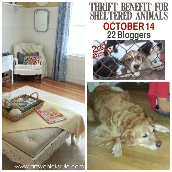 Animal Shelter Thrift Benefit {a donation, new rug and more}