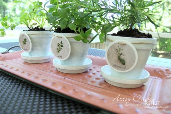 DIY Decorative Clay Pots for Herbs - Easy! -artsychicksrule.com