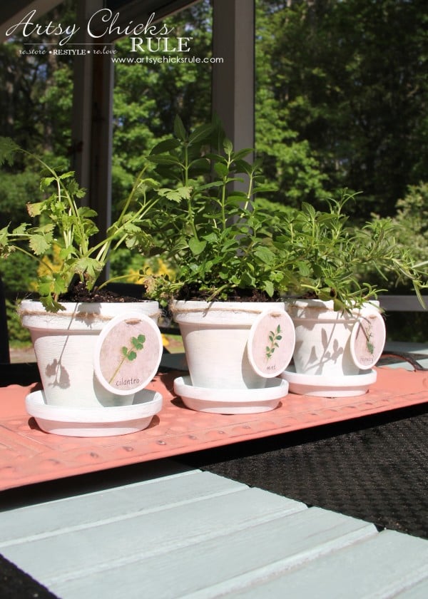 DIY Decorative Clay Pots for Herbs - In the sun -artsychicksrule.com