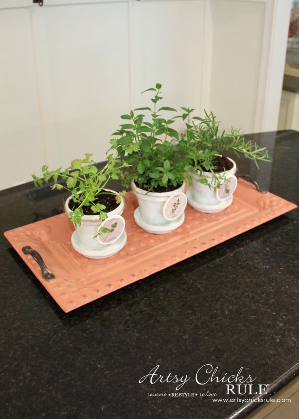 DIY Decorative Clay Pots for Herbs - Keep them on a tray so you can move to the sun -artsychicksrule.com