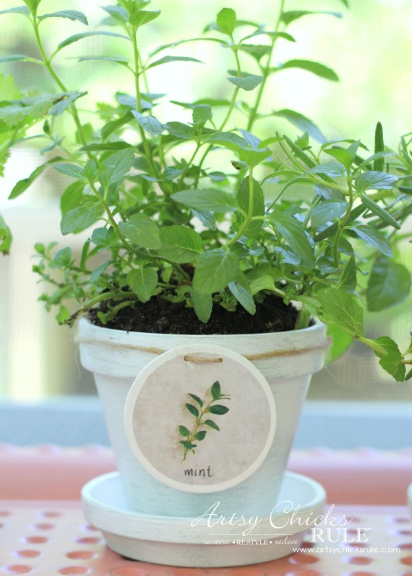 DIY Decorative Clay Pots for Herbs - Mint -artsychicksrule.com