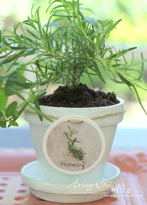 DIY Decorative Clay Pots for Herbs - Rosemary -artsychicksrule.com