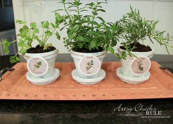 DIY Decorative Clay Pots for Herbs - SO easy! -artsychicksrule.com