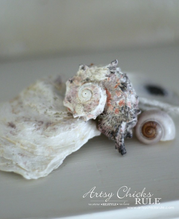 Coastal Summer Home Tour - with Balsam Hill - Seashells - #nautical #coastal #homedecor artsychicksrule.com