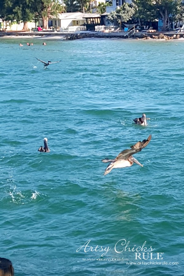 Anna Maria Island Florida Vacation - Rod and Reel Pier - artsychicksrule