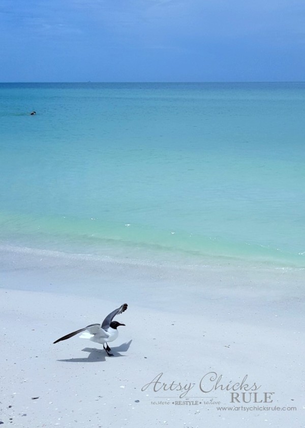 Anna Maria Island Florida Vacation - beach is amazing - artsychicksrule