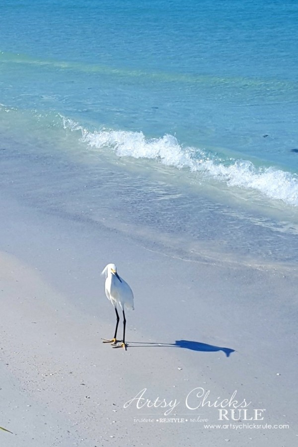 Anna Maria Island Florida Vacation - beautiful photo ops - artsychicksrule