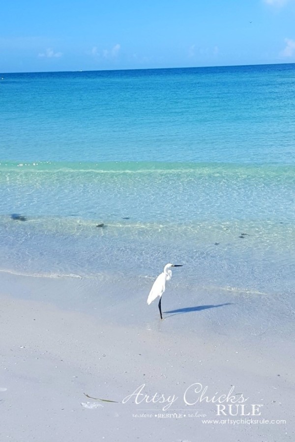 Anna Maria Island Florida Vacation - photo ops everywhere - artsychicksrule