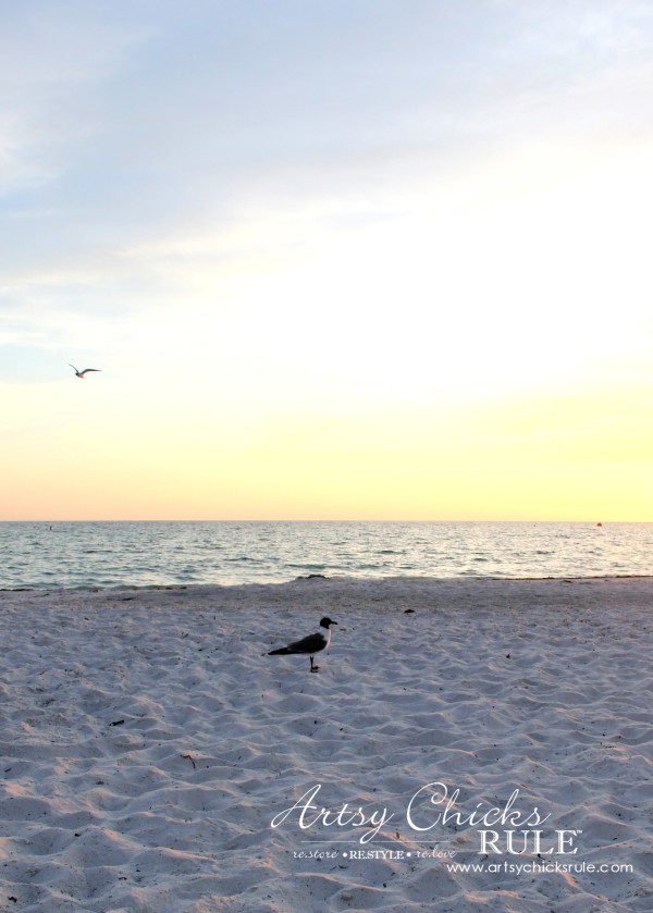 Anna Maria Island Florida Vacation - so beautiful - artsychicksrule