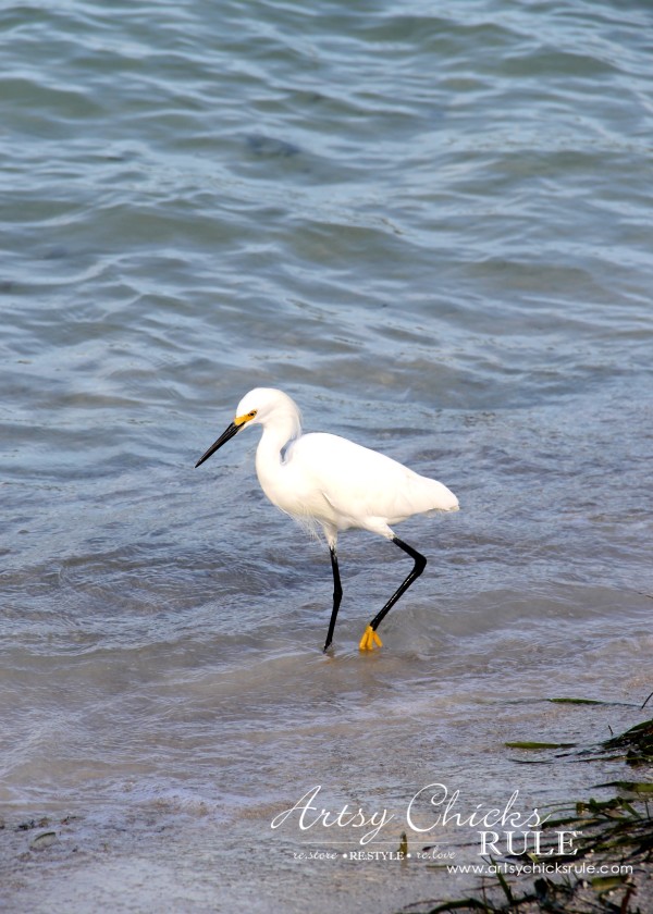 Anna Maria Island Florida Vacation - such beauty - artsychicksrule