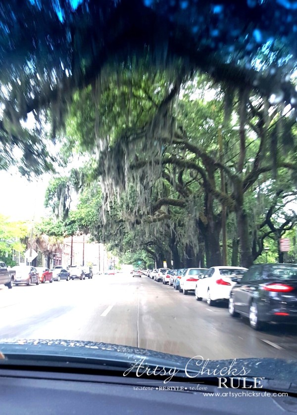 Historic Savannah GA - love the moss - artsychicksrule