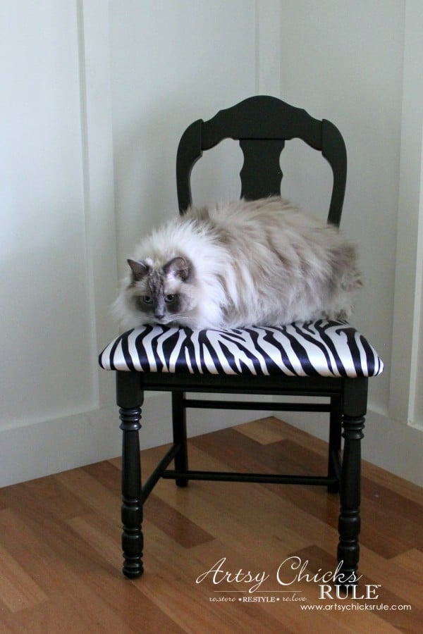 Zebra Chair Makeover (Animal Theme)  - My Ragdoll cat likes it - $5 dollar thrifty makeover - artsychicksrule