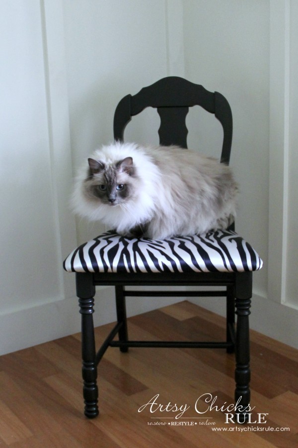 Zebra Chair Makeover (Animal Theme)  - My cat likes it! - $5 dollar thrifty makeover - artsychicksrule