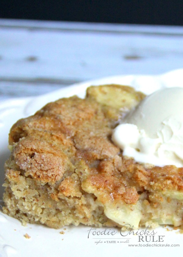 Apple Spice Cake (Gluten Free) - Perfect w Vanilla Ice Cream - foodiechicksrule #applespice #recipe