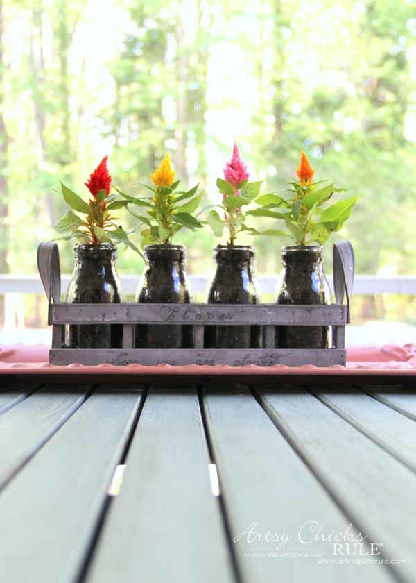 Decorating with Potted Plants - Unique Planter Ideas - CELOSIA - artsychicksrule #pottedplants #planterideas