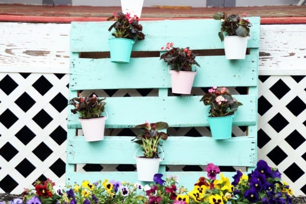 A pallet wall with plants hanging on it.