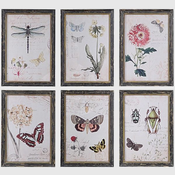 nature-wood-framed-wall-decor-set-of-6_1- Antique Farmhouse