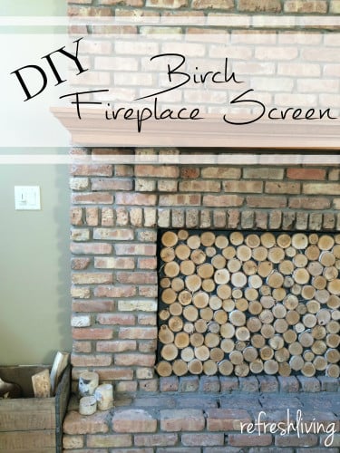 Birch fireplace screeen.