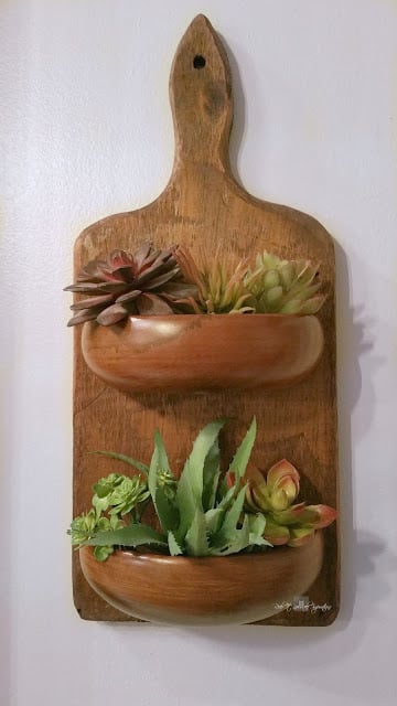 cutting-board-with-succulants