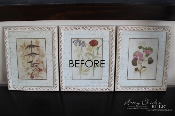 Three framed botanical old prints repurposed with cream-colored decorative frames are displayed side by side. The center print is labeled BEFORE in large black letters.