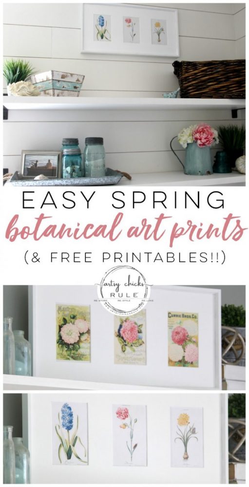 Spring Botanical Art (and free printables!) - Artsy Chicks Rule®