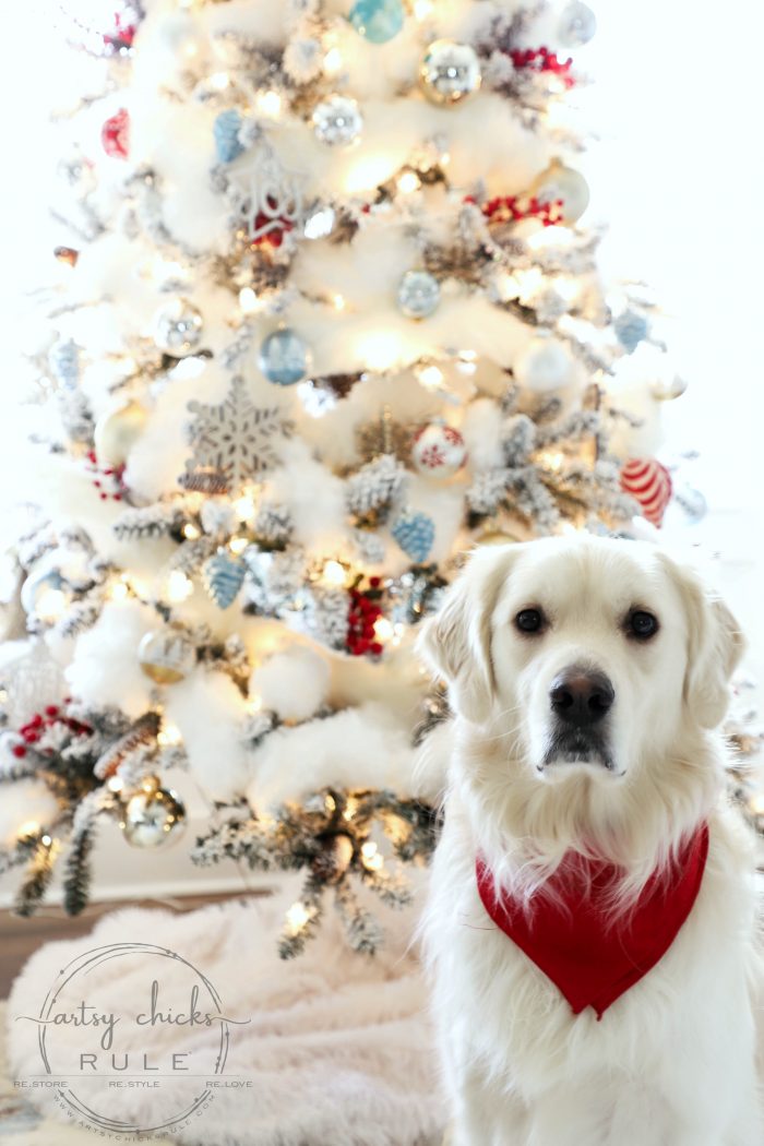 Traditional Christmas Tree (family room, foyer and laundry)