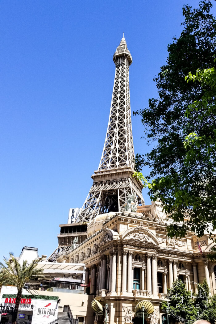 Las Vegas Trip Highlights