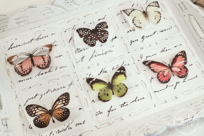 Butterfly transfers made transforming this butterfly tray makeover simple! (plus see how we found it in our brand new video!) artsychicksrule.com #butterflytray #butterflytransfers #primatransfers #butterflydecor