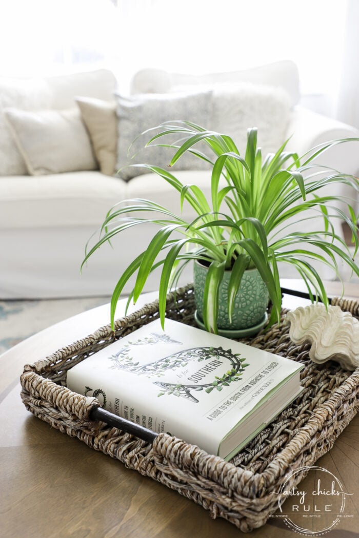 basket on table with green plant