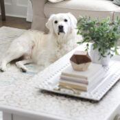 Gold Stencil Coffee Table