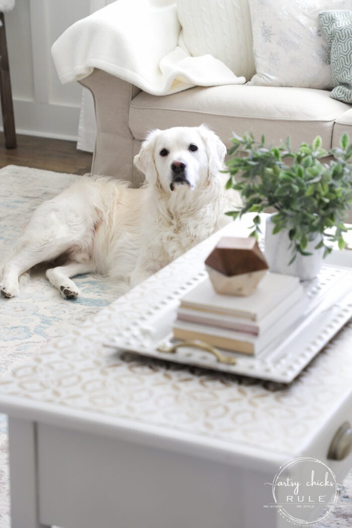 Give any old coffee table a glam new look with a gold stencil! From blah to beautiful with a little paint! artsychicksrule.com #stenciledprojects #stencilideas