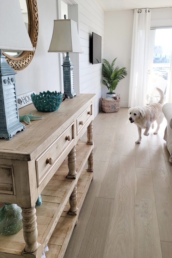 yellow console, bleached floors, white dog