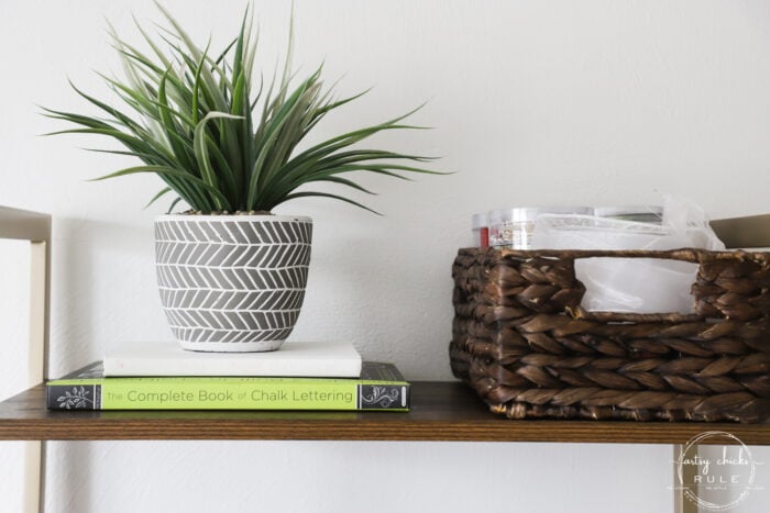 plant with books