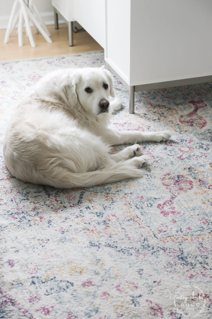 Closeup of white golden 