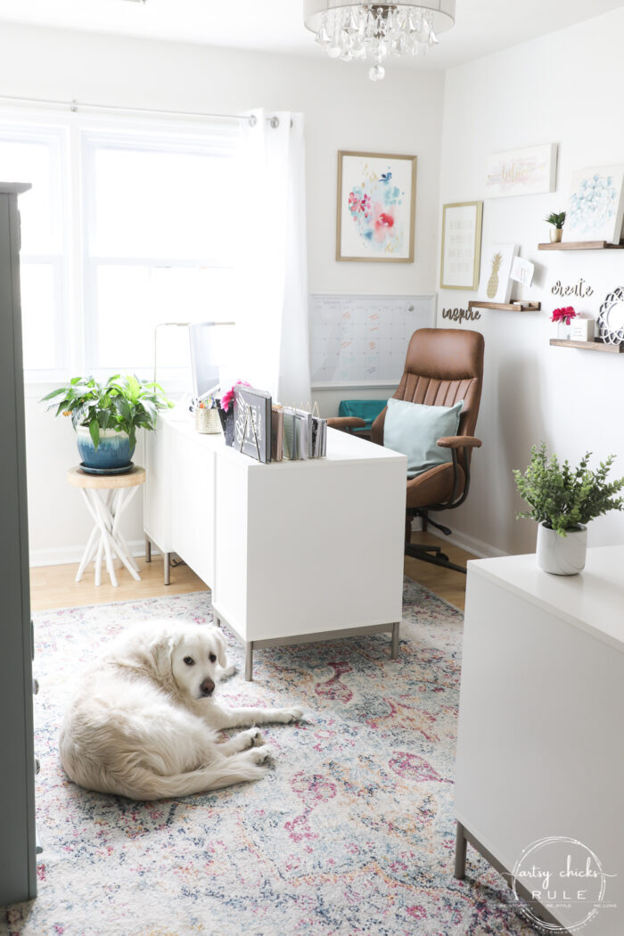 White golden on rug in front of desk