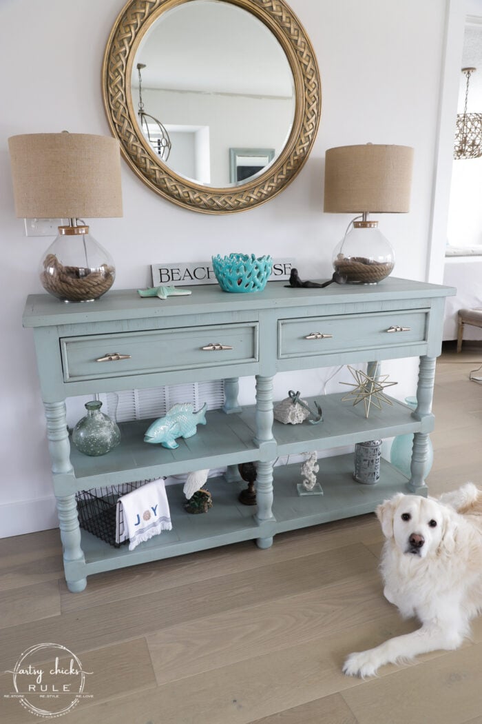 aqua console with white dog Ryder in front