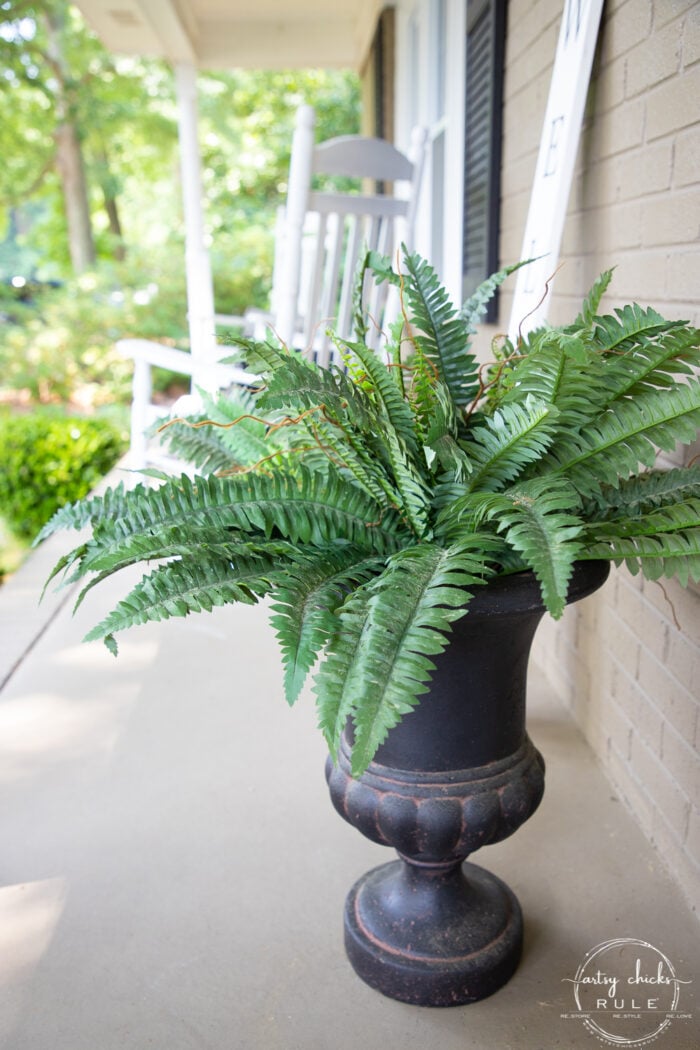 green fern black urn