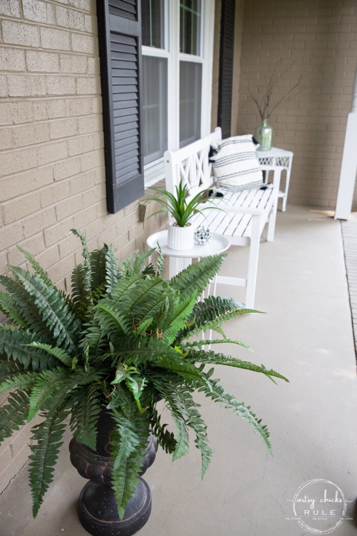 green fern in black urn with white bench