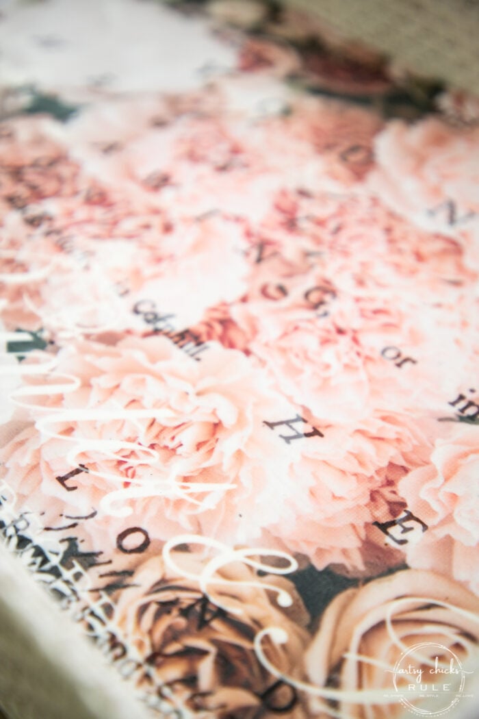 up close of rose paper
