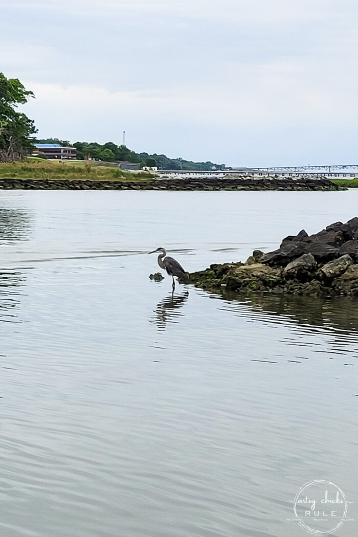 coastal water scene