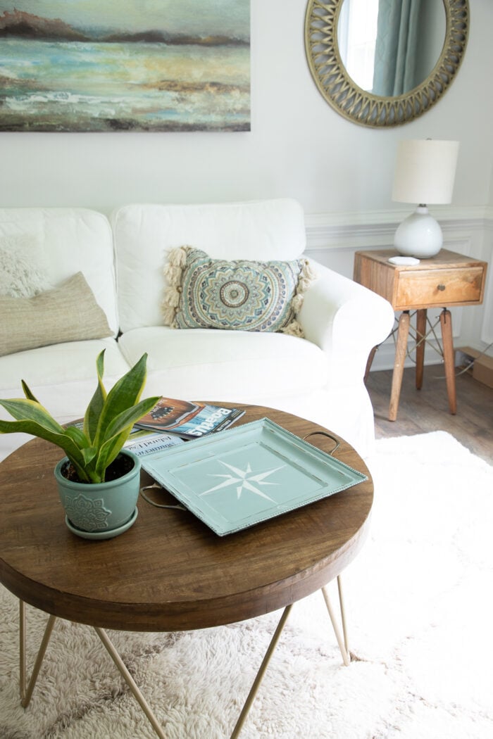 wood table with green plant and aqua tray in front of white couch