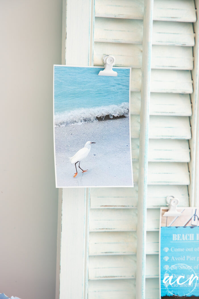 white shutter and bird on beach photo