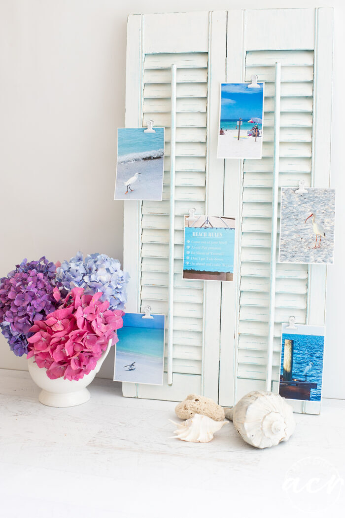 white shutters with photos and pink flowers