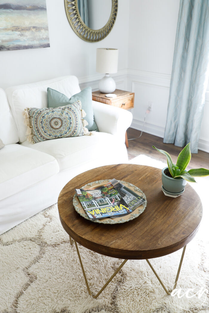 white couch, wood table with plant and gold tray with magazines