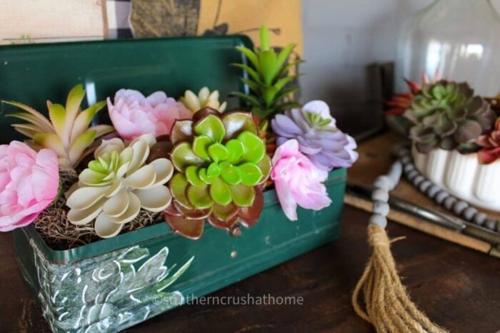 green box with succulents inside